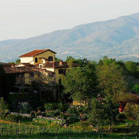 Locanda Casanuova Филине Валдарно Екстериор снимка
